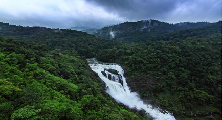 coorg