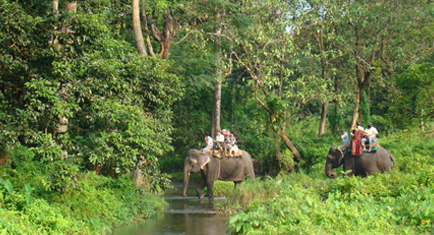Gorumara National Park