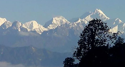 Chota Mangwa