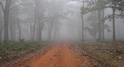 kabini