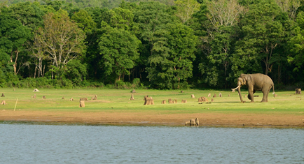 Kabini National Park