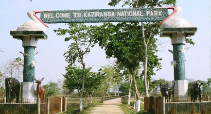 kaziranga