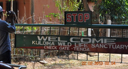 kuldiha