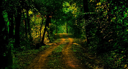 Kuldiha Wildlife Sanctuary
