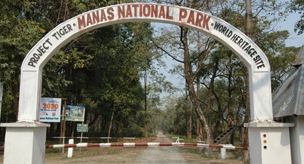 Manas National Park 
