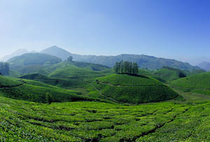 munnar