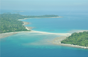 diglipur