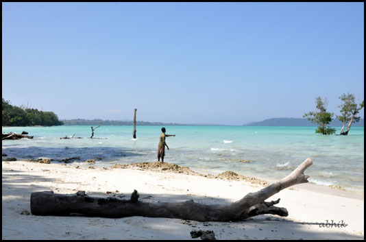 Havelock Island