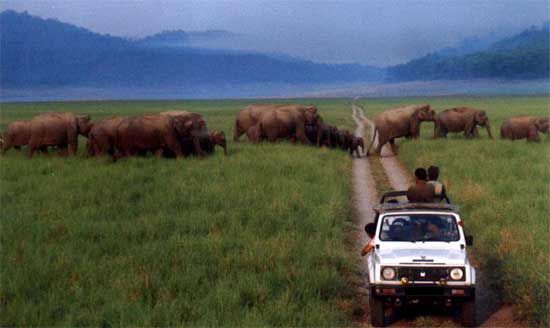 Jim Corbett