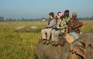 kaziranga