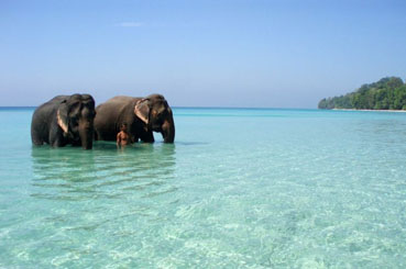 Port Blair