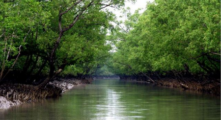 sundarban-pkg1